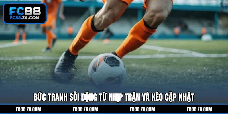 Bức tranh sôi động từ nhịp trận và kèo cập nhật