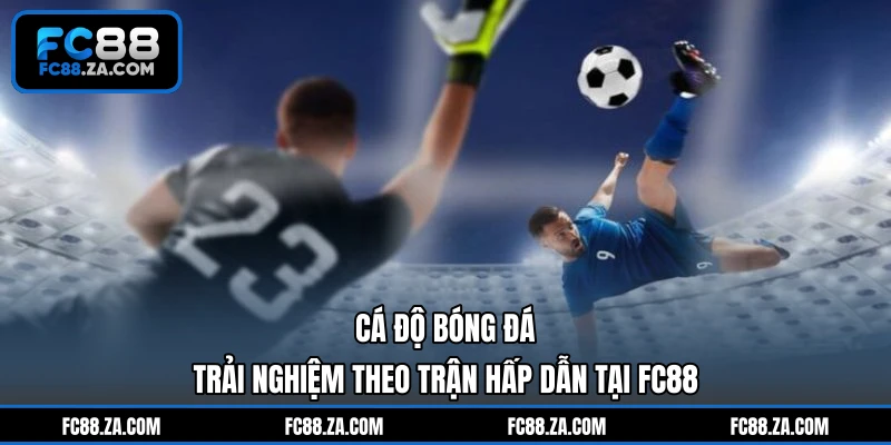 Cá Độ Bóng Đá - Trải Nghiệm Theo Trận Hấp Dẫn Tại FC88