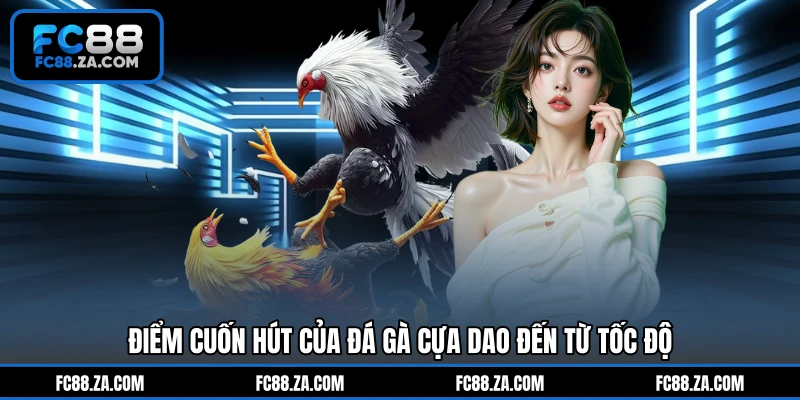 Điểm cuốn hút của đá gà cựa dao đến từ tốc độ