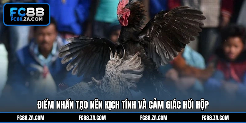 Điểm nhấn tạo nên kịch tính và cảm giác hồi hộp
