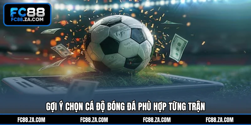 Gợi ý chọn cá độ bóng đá phù hợp từng trận