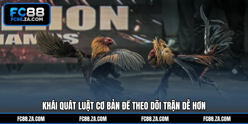 Khái quát luật cơ bản để theo dõi trận dễ hơn
