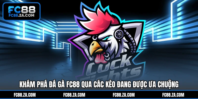 Khám phá đá gà FC88 qua các kèo đang được ưa chuộng