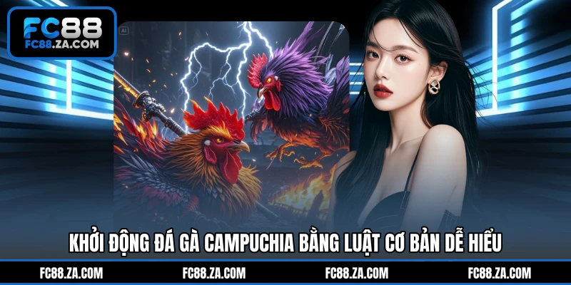 Khởi động đá gà Campuchia bằng luật cơ bản dễ hiểu