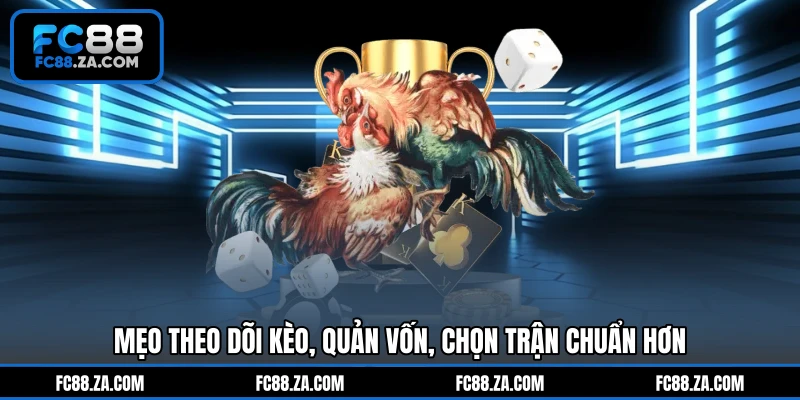 Mẹo theo dõi kèo, quản vốn, chọn trận chuẩn hơn