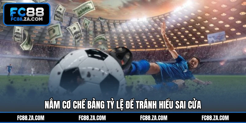 Nắm cơ chế bảng tỷ lệ để tránh hiểu sai cửa
