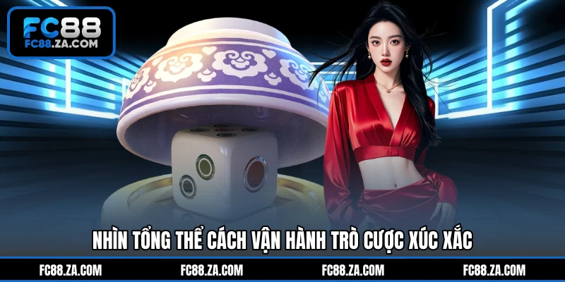 Nhìn tổng thể cách vận hành trò cược xúc xắc