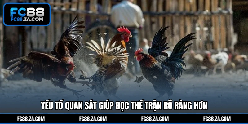 Yếu tố quan sát giúp đọc thế trận rõ ràng hơn